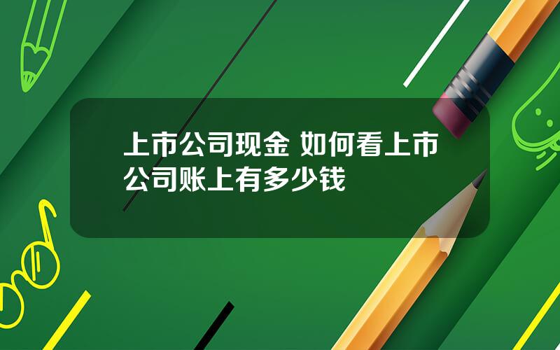 上市公司现金 如何看上市公司账上有多少钱